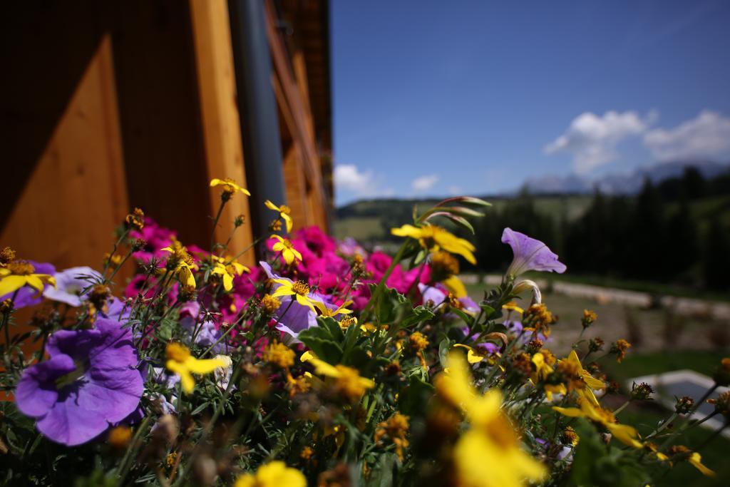 Sporthotel Floralpina Alpe Di Siusi Eksteriør billede